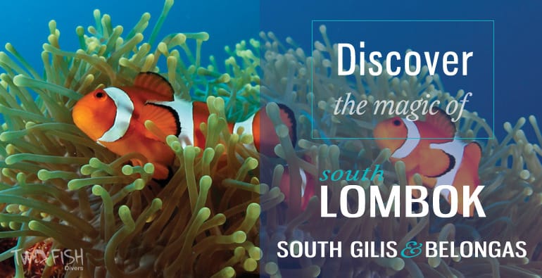 discover south lombok